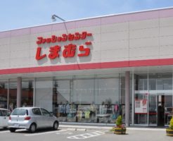 e04c62b4dc6f7f3fc63953fd598d9bf1 246x200 - しまむら「骨盤矯正パンツ」の驚きの効果、値段とは？