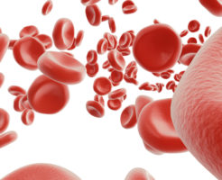 92c4d4a8dd14590f377c362633532c55 246x200 - 「血管＋肌」若返り飲み物ランキングTop５！