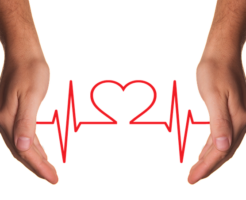 1b6d697adf258bab9bf8528c7bd71080 246x200 - 「心臓弁膜症」の治療による平均余命の変化は？