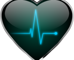 Heart 246x200 - 「心臓血液循環」の簡単な語呂での覚え方を紹介！