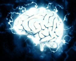 brain 246x200 - 難病「ミトコンドリア病」の症状、余命とは？